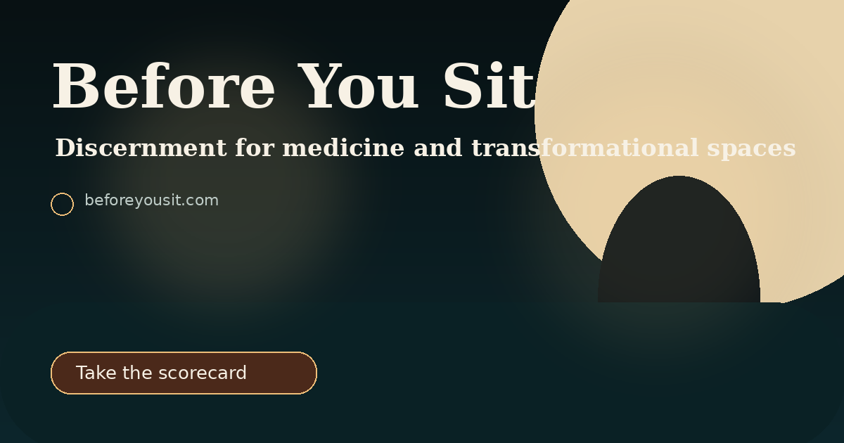 Before You Sit, discernment for medicine and transformational spaces.
