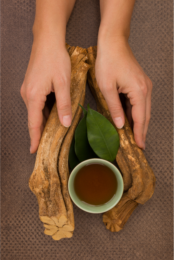 Costa Rican medicine-space portrait showing a grounded ceremonial environment.